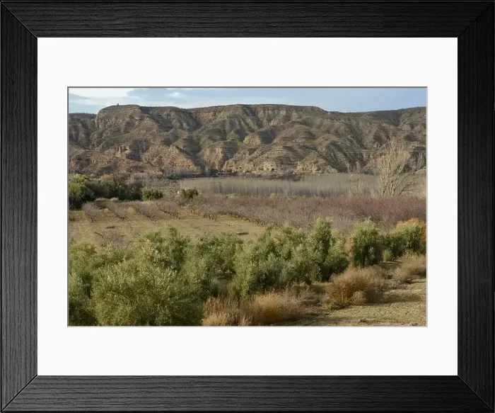 Framed Print : View at woods and hills near Guadix in Spain Framed Print : View at woods and hills near Guadix in Spain