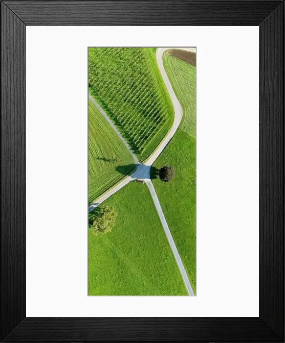Framed Print : At the crossroads. Vertical panorama. Road, field, tree. Aerial view Framed Print : At the crossroads. Vertical panorama. Road, field, tree. Aerial view