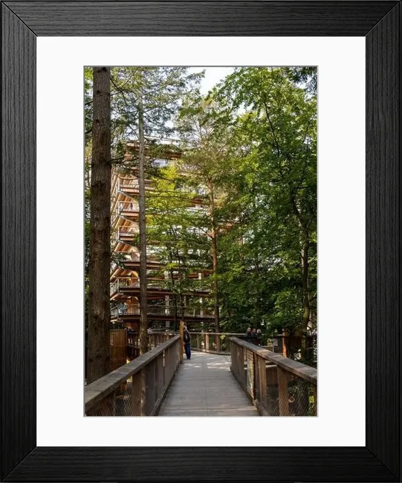 Framed Print : The new tree-top walk in Heringsdorf as a holiday destination Framed Print : The new tree-top walk in Heringsdorf as a holiday destination
