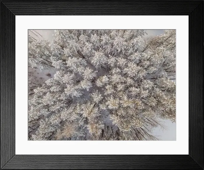 Framed Print : Aerial view of a winter snow-covered pine forest. Aerial drone view of a winter landscape. Snow covered forest Framed Print : Aerial view of a winter snow-covered pine forest. Aerial drone view of a winter landscape. Snow covered forest