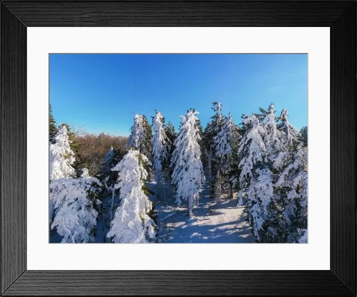 Framed Print : View from a drone on a snow-covered flax in the mountains. Huge trees. Panoramic view