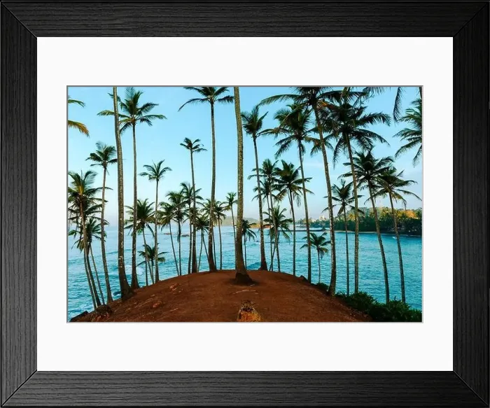 Framed Print : Coconut tree hill in Mirissa Beach. Sri Lanka Framed Print : Coconut tree hill in Mirissa Beach. Sri Lanka