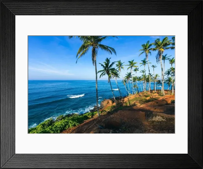 Framed Print : Coconut tree hill in Mirissa Beach. Sri Lanka Framed Print : Coconut tree hill in Mirissa Beach. Sri Lanka