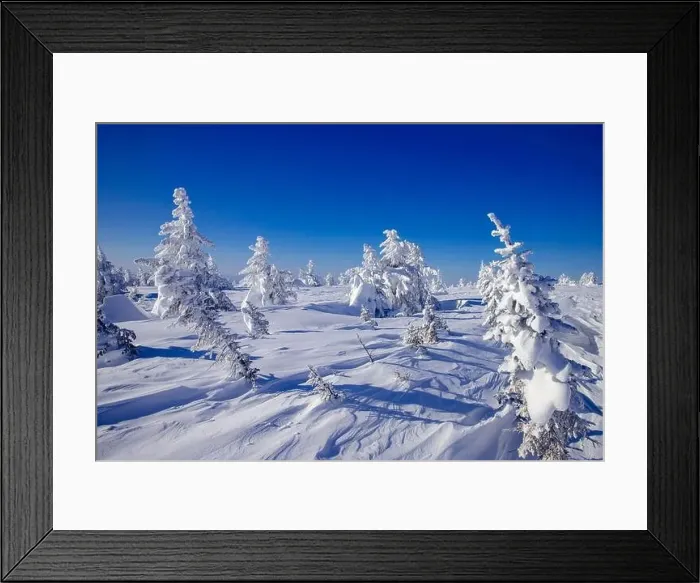 Framed Print : Aerial top view frozen forest, winter landscape scene with blue sky Framed Print : Aerial top view frozen forest, winter landscape scene with blue sky