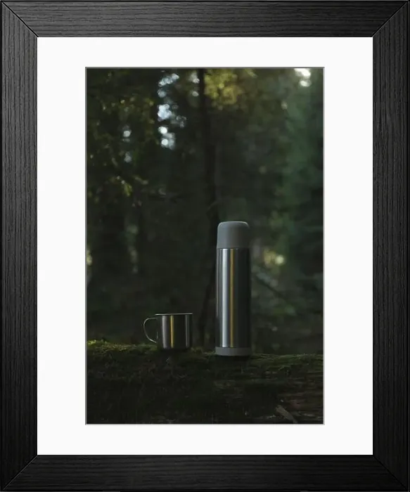 Framed Print : Thermos and cup on log in forest Framed Print : Thermos and cup on log in forest