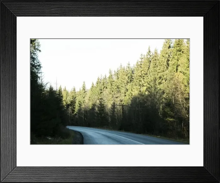 Framed Print : Road in Ukrainian Carpathian mountains in sunny day