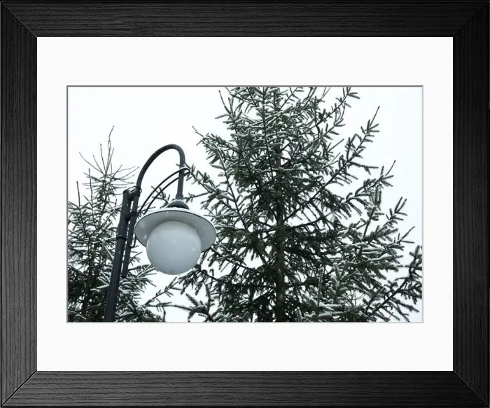Framed Print : Lamp post and conifer trees in snowy day Framed Print : Lamp post and conifer trees in snowy day