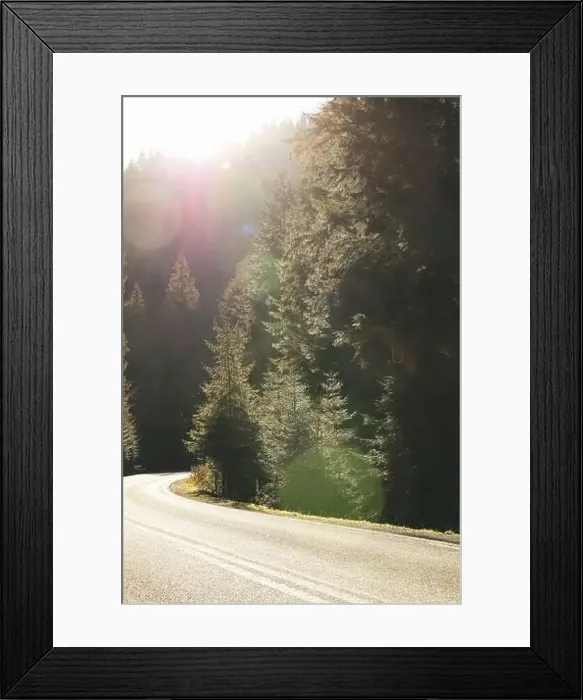 Framed Print : Road in Ukrainian Carpathian mountains in sunny day Framed Print : Road in Ukrainian Carpathian mountains in sunny day
