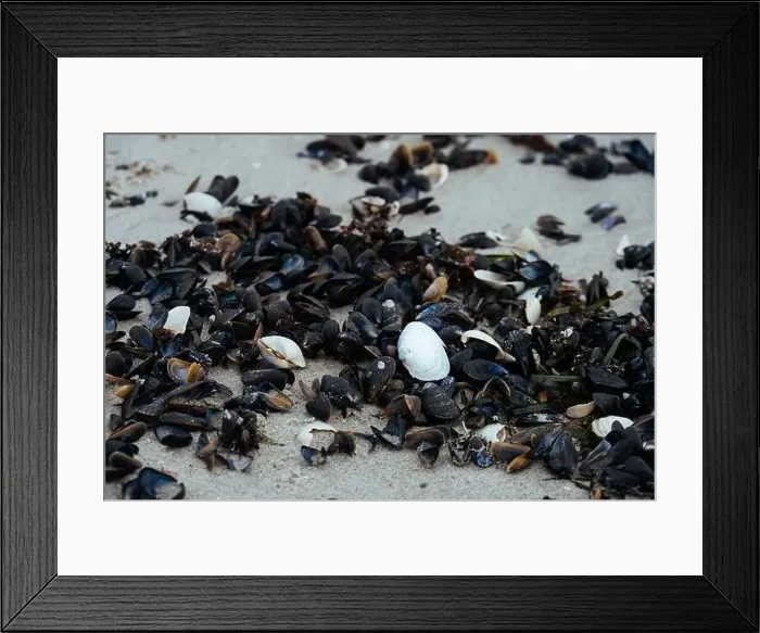 Framed Print : Aerial view of a wintry seacoast landscape Framed Print : Aerial view of a wintry seacoast landscape