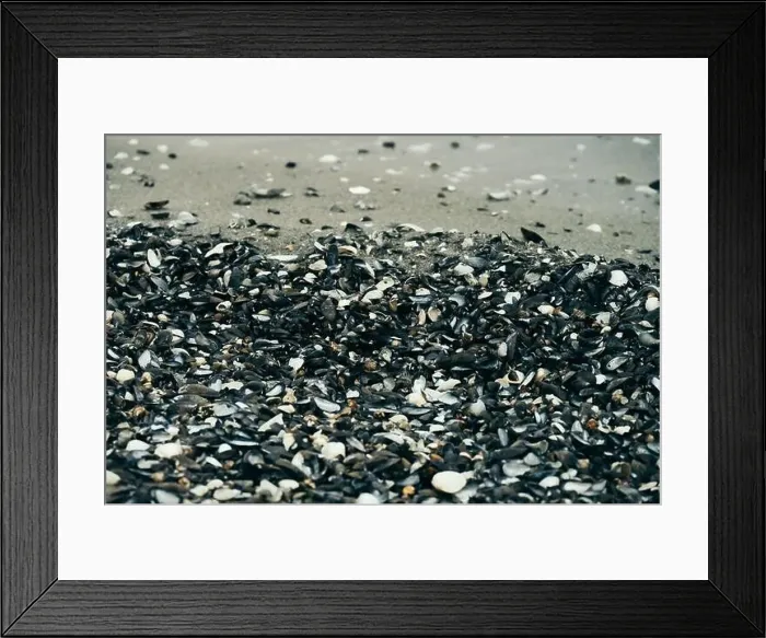 Framed Print : Aerial view of a wintry seacoast landscape Framed Print : Aerial view of a wintry seacoast landscape