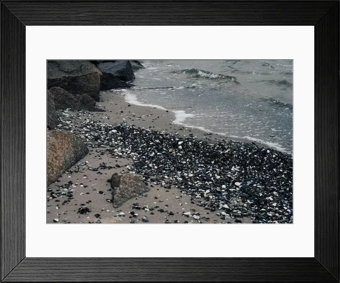 Framed Print : Aerial view of a wintry seacoast landscape Framed Print : Aerial view of a wintry seacoast landscape