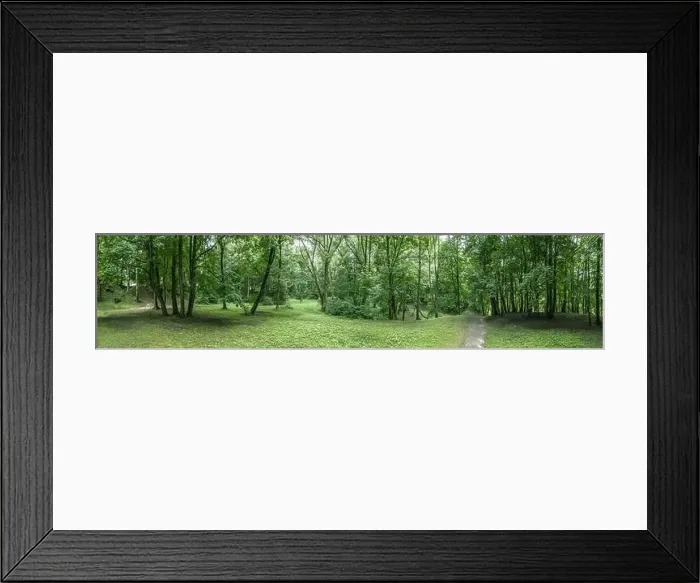 Framed Print : panoramic aerial view of green park landscape on summer cloudy day. picturesque green forest scenery Framed Print : panoramic aerial view of green park landscape on summer cloudy day. picturesque green forest scenery