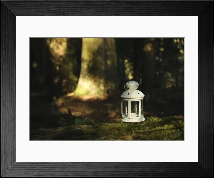 Framed Print : Lantern with burning candle on log in forest Framed Print : Lantern with burning candle on log in forest