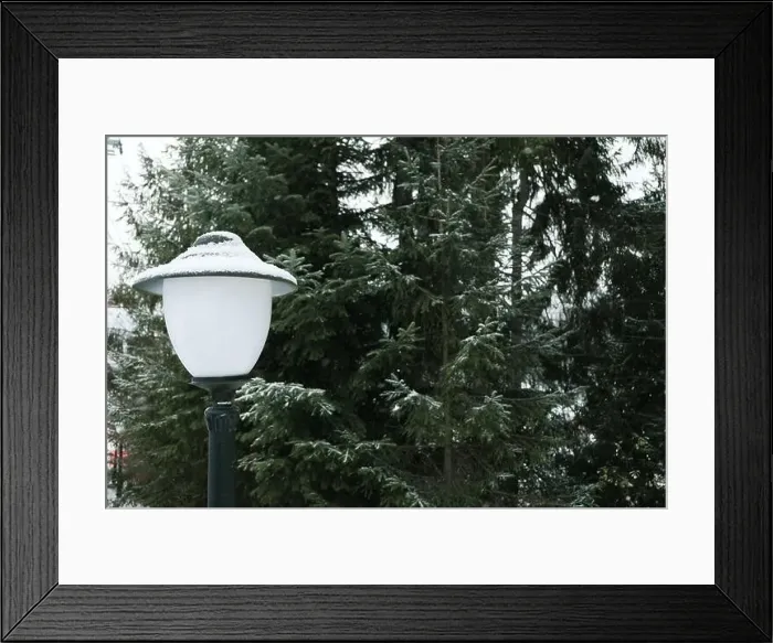 Framed Print : Lamp post in snowy day, space for text Framed Print : Lamp post in snowy day, space for text