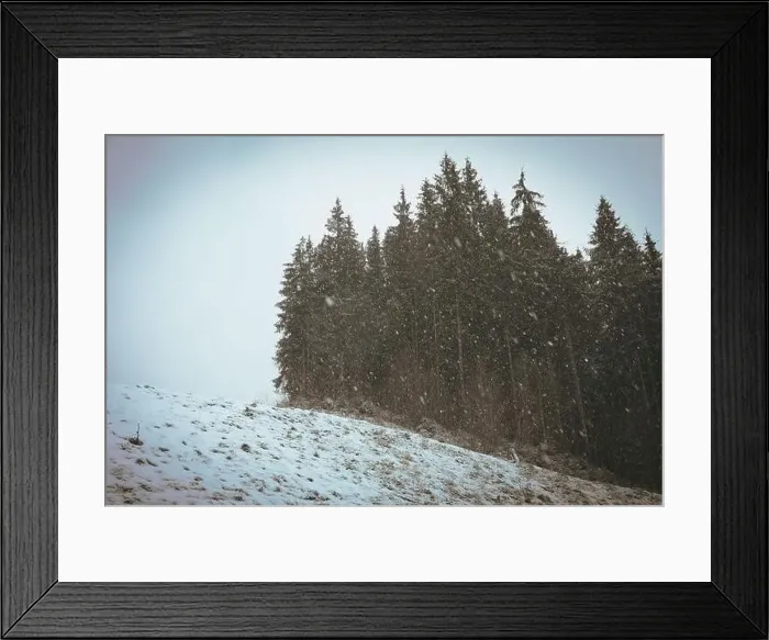 Framed Print : Snowy day in amazing Carpathian mountains in autumn Framed Print : Snowy day in amazing Carpathian mountains in autumn