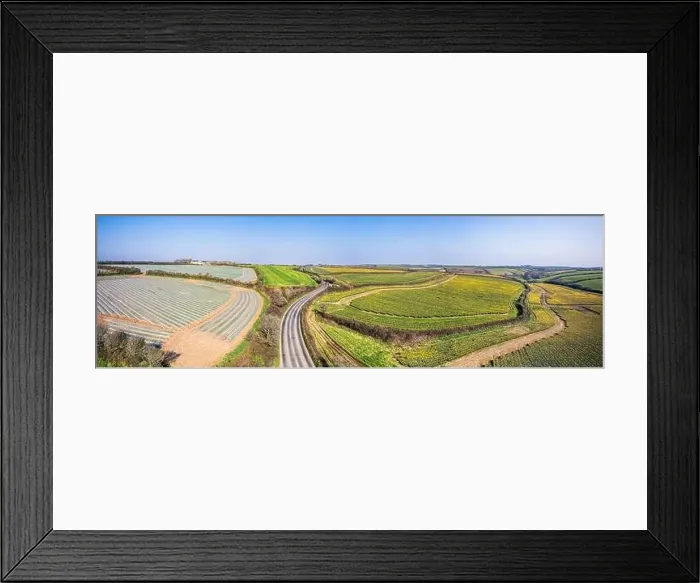 Framed Print : Panorama over Daffodil farm in Cornwall from a drone, England Framed Print : Panorama over Daffodil farm in Cornwall from a drone, England