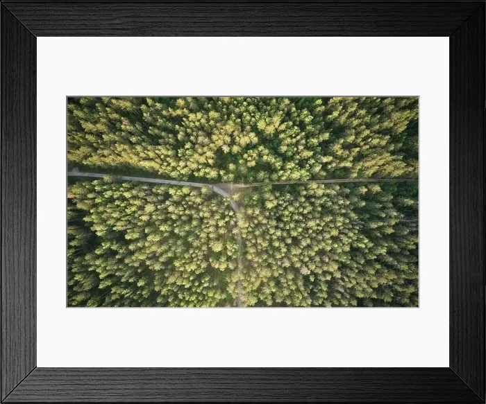 Framed Print : Road turn in forest in sunset light background aerial drone view Framed Print : Road turn in forest in sunset light background aerial drone view