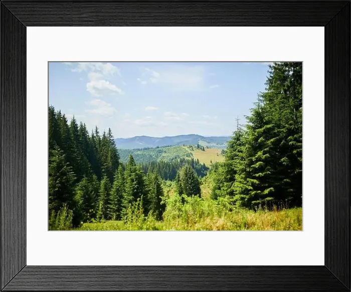 Framed Print : Beautiful mountain and forest in spring Framed Print : Beautiful mountain and forest in spring
