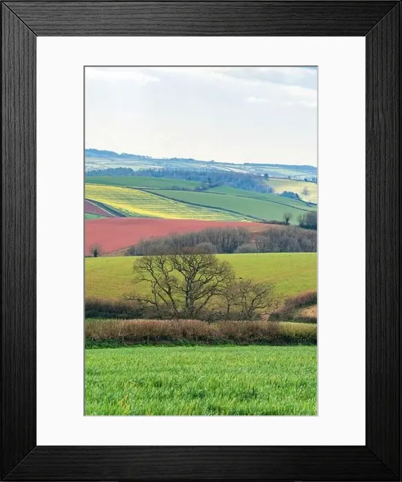 Framed Print : Fields and Farmlands over English Village, Berry Pomeroy, Devon, England, Europe Framed Print : Fields and Farmlands over English Village, Berry Pomeroy, Devon, England, Europe