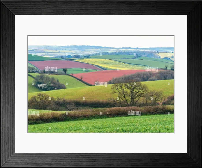 Framed Print : Fields and Farmlands over English Village, Berry Pomeroy, Devon, England, Europe Framed Print : Fields and Farmlands over English Village, Berry Pomeroy, Devon, England, Europe