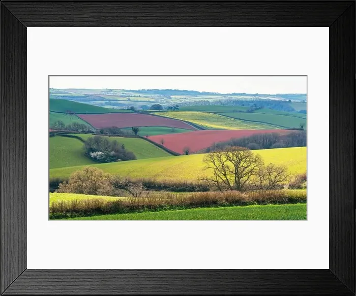 Framed Print : Fields and Farmlands over English Village, Berry Pomeroy, Devon, England, Europe Framed Print : Fields and Farmlands over English Village, Berry Pomeroy, Devon, England, Europe
