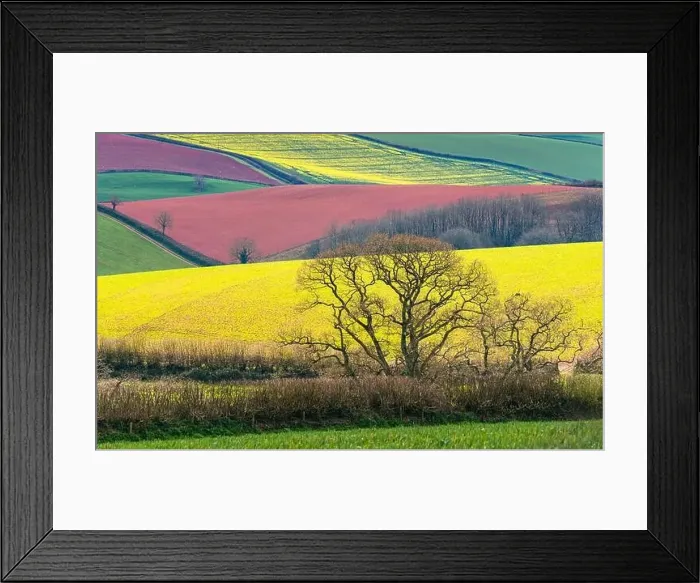 Framed Print : Fields and Farmlands over English Village, Berry Pomeroy, Devon, England, Europe Framed Print : Fields and Farmlands over English Village, Berry Pomeroy, Devon, England, Europe
