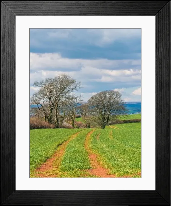 Framed Print : Fields and Farmlands over English Village, Berry Pomeroy, Devon, England, Europe Framed Print : Fields and Farmlands over English Village, Berry Pomeroy, Devon, England, Europe