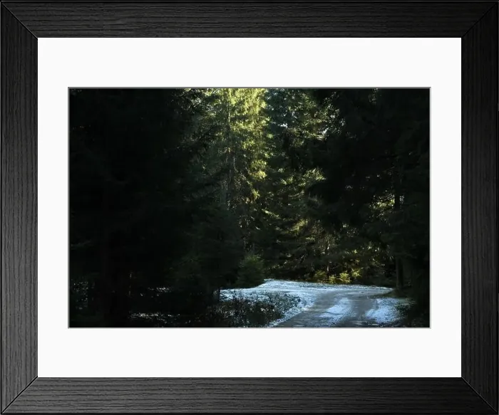 Framed Print : Forest in Carpathian mountains in autumn day with snow Framed Print : Forest in Carpathian mountains in autumn day with snow