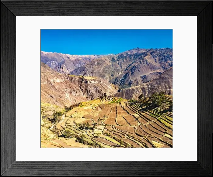 Framed Print : Terraced fields in the Colca Canyon at Cabanaconde in the Arequipa region of Peru Framed Print : Terraced fields in the Colca Canyon at Cabanaconde in the Arequipa region of Peru