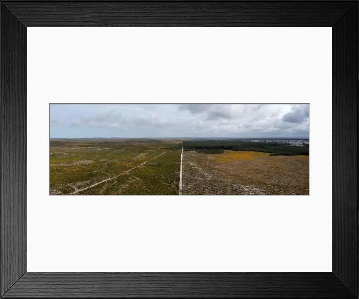 Framed Print : A drone view of eucalyptus forests and sand dunes with heath on the central Atlantic coast of Portugal Framed Print : A drone view of eucalyptus forests and sand dunes with heath on the central Atlantic coast of Portugal