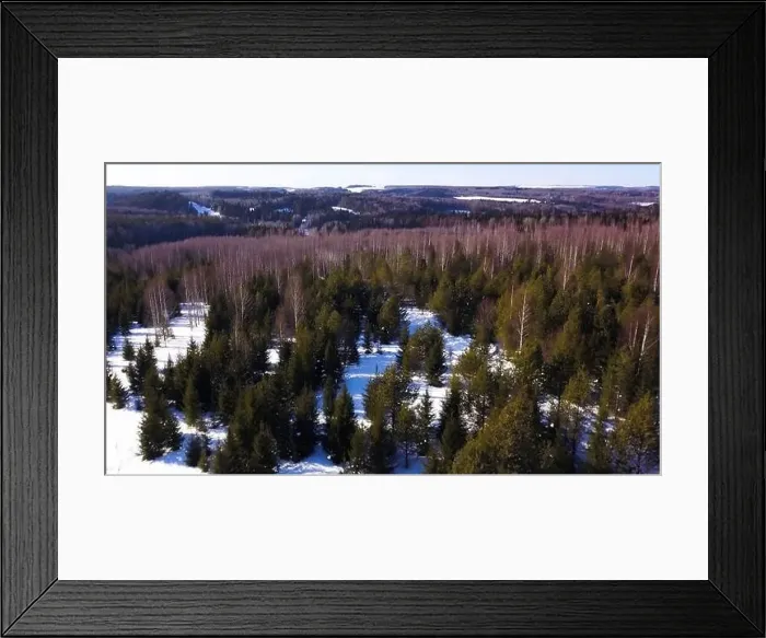 Framed Print : Winter forest from a bird's-eye view Framed Print : Winter forest from a bird's-eye view