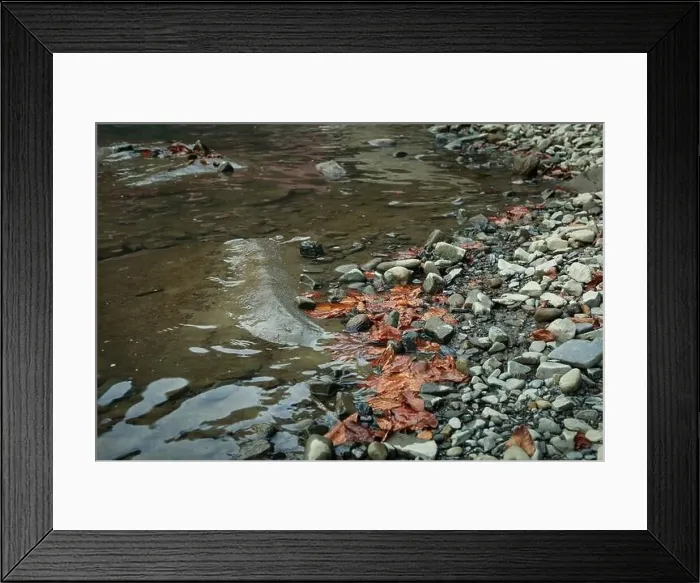 Framed Print : River in the Carpathian mountains in autumn Framed Print : River in the Carpathian mountains in autumn