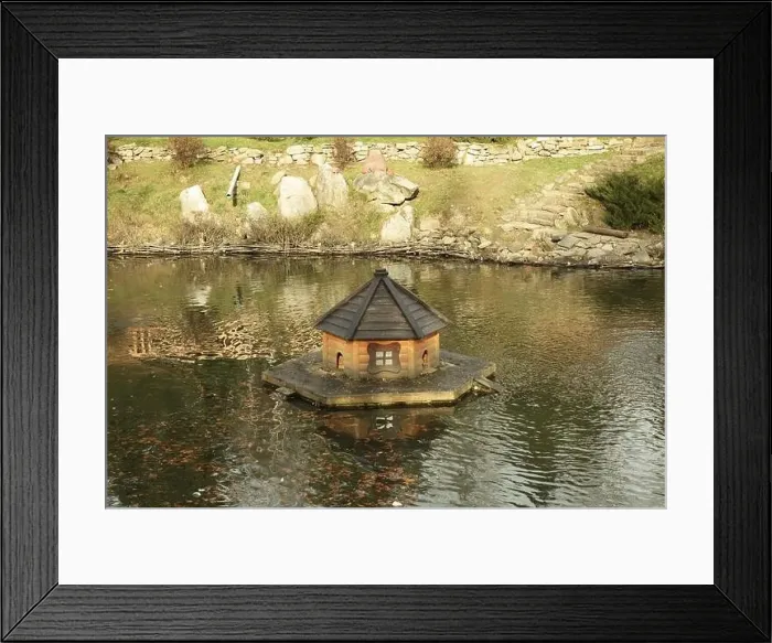 Framed Print : House for ducks in lake in autumn day Framed Print : House for ducks in lake in autumn day