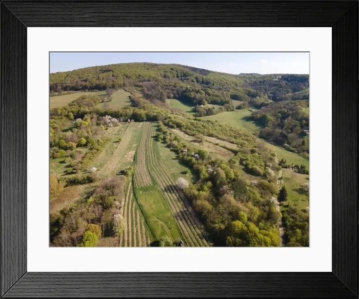 Framed Print : Drone flight over green meadows, forests, landscape, nature in April in Austria Framed Print : Drone flight over green meadows, forests, landscape, nature in April in Austria