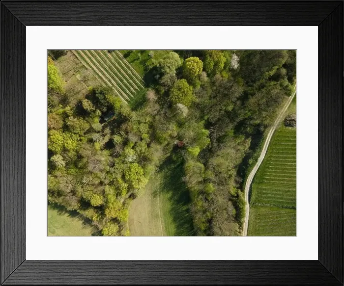 Framed Print : Drone flight over green meadows, forests, landscape, nature in April in Austria Framed Print : Drone flight over green meadows, forests, landscape, nature in April in Austria