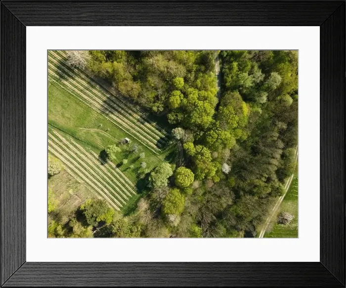 Framed Print : Drone flight over green meadows, forests, landscape, nature in April in Austria Framed Print : Drone flight over green meadows, forests, landscape, nature in April in Austria