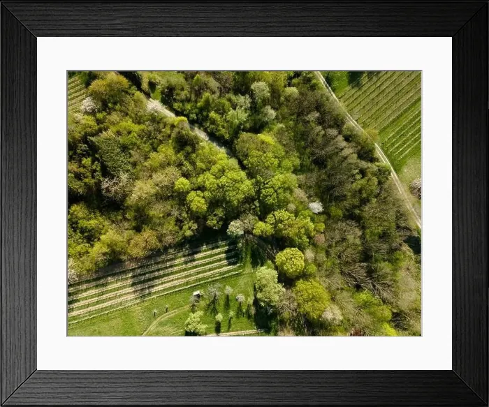 Framed Print : Drone flight over green meadows, forests, landscape, nature in April in Austria Framed Print : Drone flight over green meadows, forests, landscape, nature in April in Austria