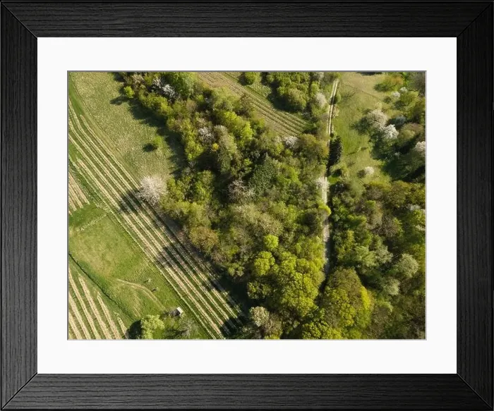 Framed Print : Drone flight over green meadows, forests, landscape, nature in April in Austria Framed Print : Drone flight over green meadows, forests, landscape, nature in April in Austria