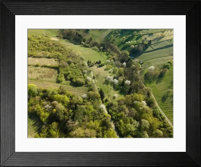 Framed Print : Drone flight over green meadows, forests, landscape, nature in April in Austria Framed Print : Drone flight over green meadows, forests, landscape, nature in April in Austria