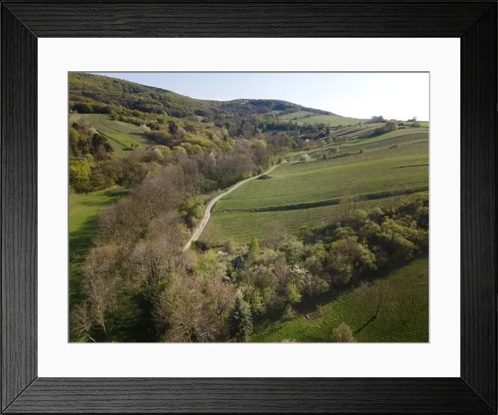 Framed Print : Drone flight over green meadows, forests, landscape, nature in April in Austria Framed Print : Drone flight over green meadows, forests, landscape, nature in April in Austria