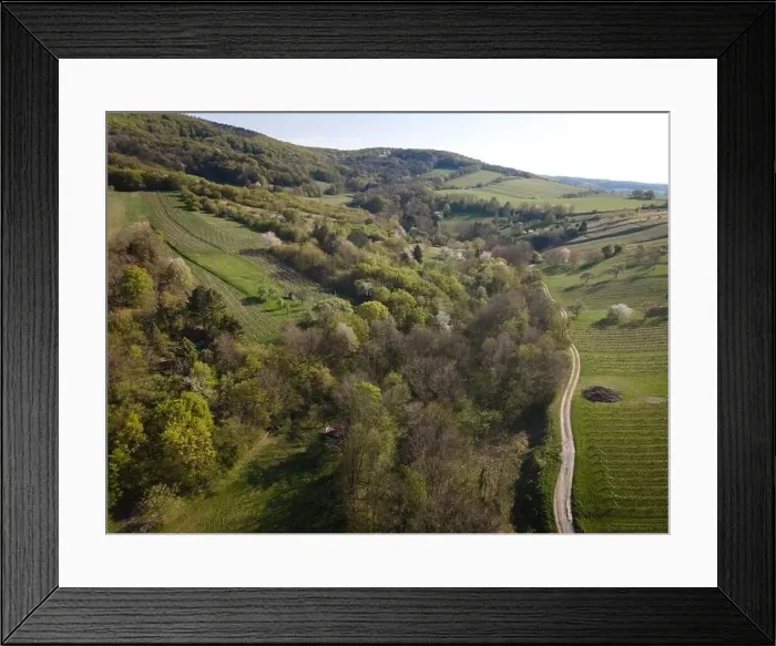 Framed Print : Drone flight over green meadows, forests, landscape, nature in April in Austria Framed Print : Drone flight over green meadows, forests, landscape, nature in April in Austria