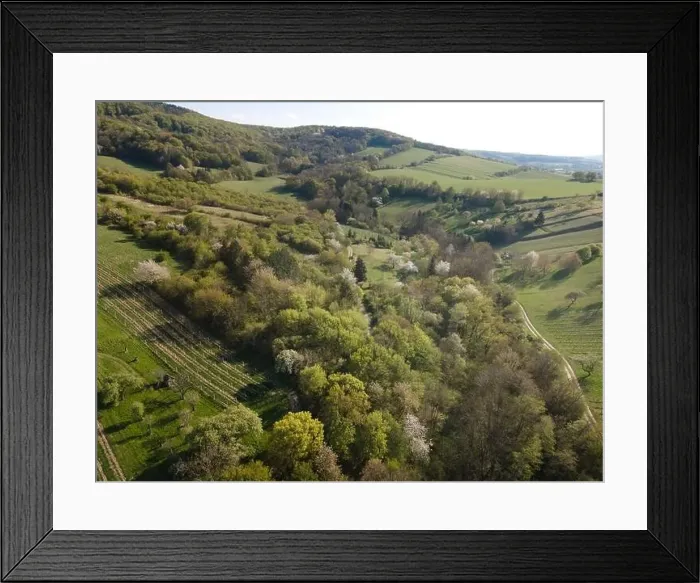 Framed Print : Drone flight over green meadows, forests, landscape, nature in April in Austria Framed Print : Drone flight over green meadows, forests, landscape, nature in April in Austria