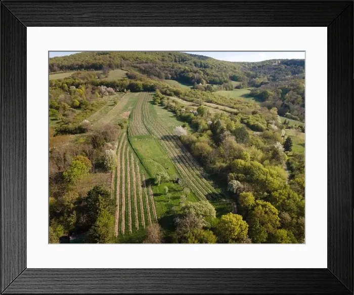 Framed Print : Drone flight over green meadows, forests, landscape, nature in April in Austria Framed Print : Drone flight over green meadows, forests, landscape, nature in April in Austria