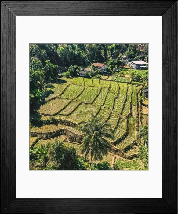 Framed Print : Aerial view of Mae La Noi rice terraces in Mae Hong Son, Thailand Framed Print : Aerial view of Mae La Noi rice terraces in Mae Hong Son, Thailand