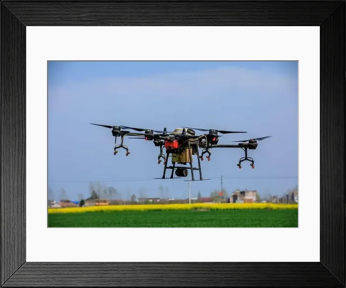 Framed Print : Agricultural drone spraying pesticides. Drones are used in agriculture Framed Print : Agricultural drone spraying pesticides. Drones are used in agriculture