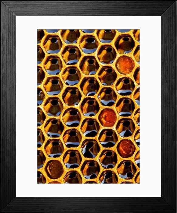 Framed Print : Honeycomb with honey as very nice natural background. Bee hive background texture and pattern Framed Print : Honeycomb with honey as very nice natural background. Bee hive background texture and pattern