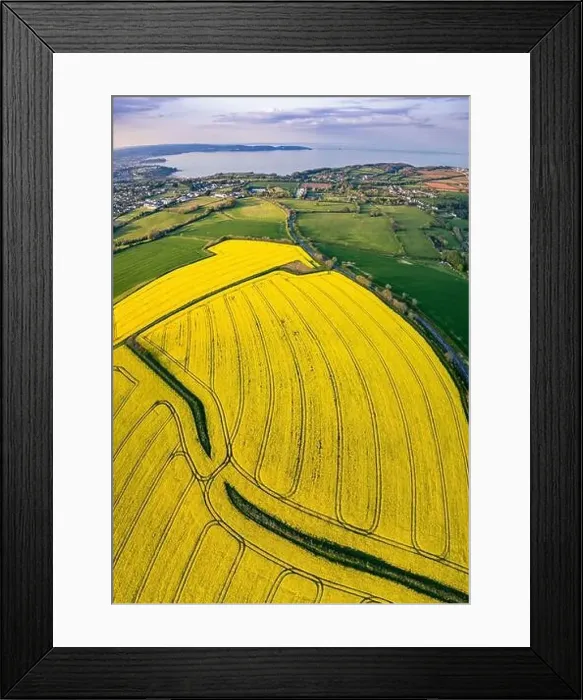 Framed Print : Panorama over Farmlands and Rapeseed fields from a drone, Devon, England Framed Print : Panorama over Farmlands and Rapeseed fields from a drone, Devon, England