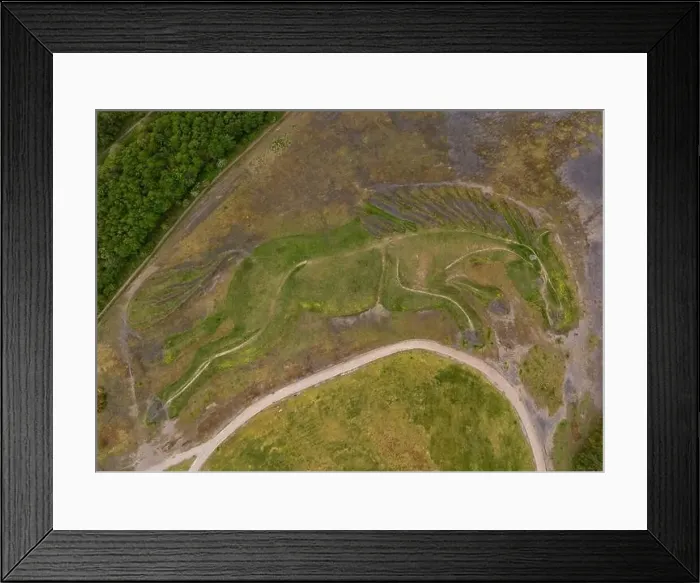 Framed Print : Sultan the Pit Pony Framed Print : Sultan the Pit Pony