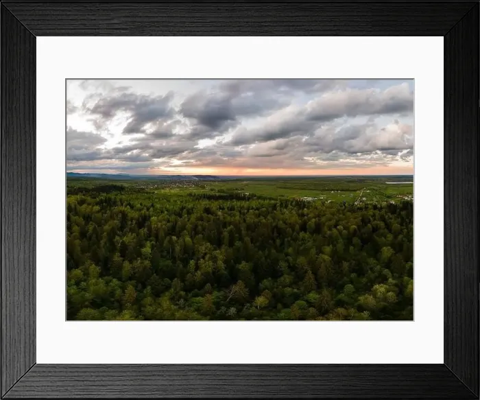 Framed Print : Aerial view of dark mountain hills covered with green mixed pine and lush forest in evening Framed Print : Aerial view of dark mountain hills covered with green mixed pine and lush forest in evening
