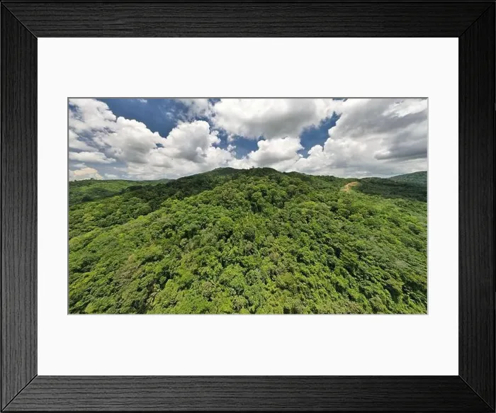 Framed Print : Aerial view drone shot of panorama abundant rainforest landscape nature mountains view in phuket thailand Framed Print : Aerial view drone shot of panorama abundant rainforest landscape nature mountains view in phuket thailand